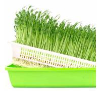 Lot de 4 plateaux de germination avec couvercle, kit de micropousses de grande capacité pour la luzerne, haricot mungo, terre pour propagation de germination, démarrage de cuisine et jardin en