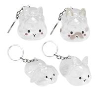 Lot de 4 porte-clés transparents en forme de lapin pour les poils de chat, pour cérémonie, anniversaire, voyage