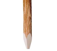 Lot de 4 poteaux de clôture en noisetier - 120 cm - Avec pointes de 7 à 9 cm de diamètre - Pour clôture de jardin, limitation de terrain et brise-vue