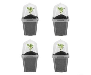 Lot de 4 pots de fleurs en forme de dôme pour jardiniers d'intérieur pour cultiver des herbes, des micropousses et des petites plantes ornementales