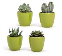 Lot de 4 pots en terre cuite vert brillant, dimensions 7 x 6 cm, parfaits pour plantes succulentes, bonsaï, fleurs, pots décoratifs modernes pour maison, bureau, table