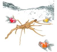 Lot de 4 racines d'arbre en bois flotté pour aquarium - Branches en bois massif - Décoration de terrarium - Accessoires pour petits poissons