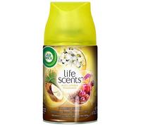 Lot de 4 recharges Paradis tropical pour spray automatique AirWick Freshmatic - 4 x 250 ml