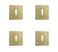 Lot de 4 rosaces de porte carrées en laiton poli 50 x 50 mm pour des finitions élégantes - Cache-trou de clé