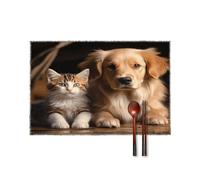 Lot de 4 sets de table carrés lavables et durables avec imprimé chien et chat, faciles à nettoyer