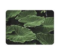 Lot de 4 Sets de Table Souple Dessous en liège Napperons Feuilles de Lotus Vie Végétale Nature Sauvage - Grand Format 39,5 x 28,5 cm