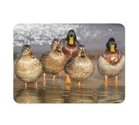 Lot de 4 Sets de Table Souples Dessous en liège Napperons Famille Canard Sauvage Canetons Marche dans l'eau Nature - Grand Format 39,5 x 28,5 cm