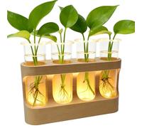 Lot de 4 Station De Propagation Hydroponique,Vase en Verre De Tube À Essai avec Support en Bois,Vase Plante Hydroponique Transparent avec Lampes LED pour Table Bureau Salon Cuisine (Luz cálida)