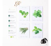 Lot de 4 variétés de graines d'herbes aromatiques, basilic, thym, coriandre, menthe, graines écologiques de plantes aromatiques