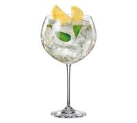 Lot de 4 verres pour Gin Tonic Bohemia Crystal Genévrier 850 ml