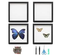 Lot de 4 Vitrine à Insectes Murale avec fenêtre Transparente 15,1x15,1 cm Collecte d'insectes avec plaques en Mousse pour Les Amateurs d'insectes