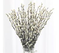 Lot de 40 branches de chaton en saule préservées, 40 cm, véritables chatons séchés avec fleurs blanches, décoration d'intérieur naturelle pour vase, mariage, ferme, cheminée, décoration de Pâques