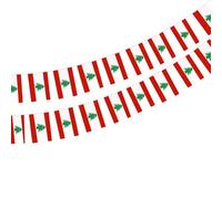 Lot de 40 drapeaux du Liban Guirlande Liban 11,4 m