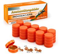 Lot de 40 pièges à fourmis pour la maison, la cuisine et le jardin, placement facile et design propre, contrôle efficace des parasites