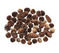 Lot de 40 pommes de pin rustiques pour décoration de table, arbre et maison