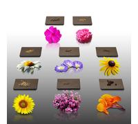 Lot De 400 Graines De Fleurs À Semer - Le Grenier D'abondance - Au Pied Du Mur - 8 Sachets Individuels