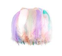 Lot de 400 Pcs Plumes Macaron Multicolores, 6-12cm Pastel Plume Naturelles pour Bricolage, Plumes Décoratives pour Fête d'Anniversaire, Attrape-Rêves, Mariage & Décoration Intérieure
