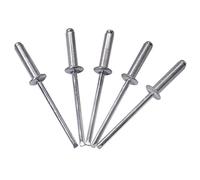 Lot de 400 pièces de rivets aveugles 4,0 x 16 mm, tête bombée ouverte, type DIN 7337, rivet en aluminium et mandrin en acier, rivets pop (400, 4,0 x 16 mm)