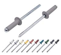 Lot de 400 pièces de rivets aveugles peints 4,0 x 14 mm, tête bombée, DIN 7337, rivet en aluminium et mandrin en acier, rivets pop (400, gris poussière RAL 7037)