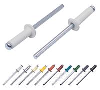 Lot de 400 pièces de rivets aveugles peints 4,0 x 14 mm, tête bombée, DIN 7337, rivet en aluminium et mandrin en acier, rivets pop (400, gris blanc RAL 9002)