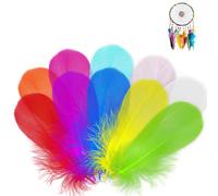 Lot de 400 plumes de coq colorées de 5 à 12 cm - Pour bricolage, artisanat, décoration, attrape-rêves