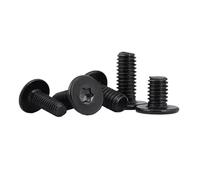 Lot de 5/10/50 vis fines CM M2 M2.5 M3 M4 M5 M6 M8 en acier inoxydable 304 A2 avec vis à tête plate Torx noire à six lobes ultra-minces(12mm,M5 10pcs)