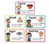 Lot de 5 affiches d ' apprentissage des cinq sens pour d ' âge préscolaire, affiches éducatives sur la cognition sensorielle pour le développement du langage et des sens, apprentissage interactif