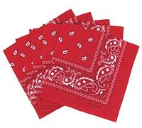 Lot de 5 bandanas paisley rouges
