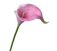 Lot de 5 bouquets de lys calla pour créer une atmosphère élégante pour votre salon ou événements spéciaux (rose)