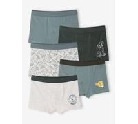 Lot de 5 boxers Disney Le Roi Lion assortis 2A