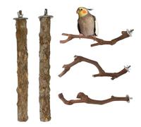Lot de 5 branches de support en bois naturel pour perroquets de petite ou moyenne taille, conures, inséparables