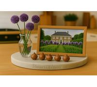 Lot de 5 BULBLES - Allium - Summer Drummer - Vivace - Jusqu'a 1m50 - Fleur Violet Mauve - 335