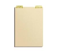 Lot de 5 carnets épais à spirales détachables pour l'école