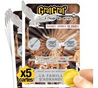 Lot de 5 cartes à gratter Annonce grossesse - La famille s'agrandit - Bébé en route - Visuel au choix - Cadeau papi mamie tonton tata papa (Sorciers x5)