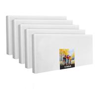 Lot de 5 châssis en polyester blanc de 30 x 60 cm, à peindre, prêt à l'emploi, convient pour les peintures acryliques ou textiles, fournitures de projet de bricolage pour peintres et artistes