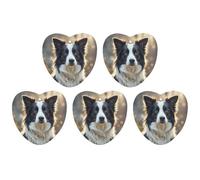 Lot de 5 désodorisants à suspendre pour voiture - Motif Border Collie - Tablettes d'aromathérapie - Cartes parfumées pour la maison et les voitures