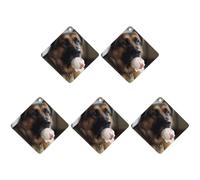 Lot de 5 désodorisants de voiture à suspendre - Cartes parfumées pour voitures - Chien qui aime la crème glacée - Décoration intérieure de voiture - Cartes parfumées pour rétroviseur