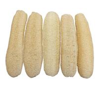 Lot de 5 éponges de luffa naturelles découpables 40, 6 à 50, 8 cm, exfoliantes pour la douche, pack écologique pour montrer, nettoyer le corps, le visage et la cuisine..