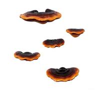 Lot de 5 figurines Lingzhi peintes à la main en résine peintes à la main | Design Ganoderma réaliste, construction en résine synthétique, finition peinte à la main, comprend des vis