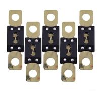 Lot de 5 fusibles automobiles pour fusibles Mega 60 A 80 A 100 A 120 A 200 A 250 A 300 A pour sécurité des câbles de batterie (100 A)