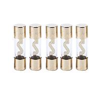 Lot de 5 fusibles for amplificateur de voiture en verre 40 A AMP AGU Fusible plaqué or Câblage de protection
