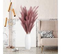 Lot de 5 Grandes Herbes de la Pampa artificielles décoratives - 100 cm - XXL - Bouquet Artificiel - Décoration bohème - pour Mariage, Salon, Chambre à Coucher (Marron rougeâtre)