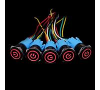 Lot de 5 interrupteurs à bouton-poussoir noirs avec fil, étanches, éclairés, en métal, momentanés, 5 V, 12 V, 220 V, LED, 16/19/22 mm, rouge(Red A,19MM_LOCKING_12V-24V)