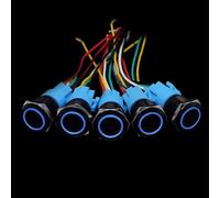 Lot de 5 interrupteurs à bouton-poussoir noirs avec fil, étanches, éclairés, en métal, momentanés, 5 V, 12 V, 220 V, LED, 16/19/22 mm, rouge(Blue B,19MM_RESET_3V-6V)