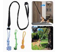 Lot de 5 jouets interactifs pour chien avec corde à mâcher, jouets à suspendre pour intérieur et extérieur, jouets d'exercice interactifs pour chiens de taille moyenne à grande