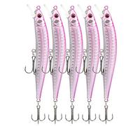 Lot de 5 leurres de pêche artificiels avec hameçon Triple, Design épuré, balançoire Haute fréquence pour Eau salée, Lacs d'eau Douce, rivières, Plastique 10 cm, 80 g (5#)