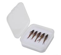 Lot de 5 leurres de pêche en forme de nymphe, hameçons barbelés, appâts en métal pour insectes dans une boîte de rangement d'eau douce et salée