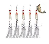 Lot de 5 leurres lumineux pour bar et poissons, équipement avec appâts artificiels, plumes et engins réalistes pour débutants et amateurs de sports nautiques