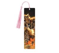 Lot de 5 marque-pages en bois imprimés double face avec pompons roses - Cadeau pour les amateurs de livres - Pour homme et femme