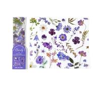 Lot de 5 marque-pages en forme de feuille de fleurs séchées en PET naturel pour étudiant, amateurs de livres, série voyage floral